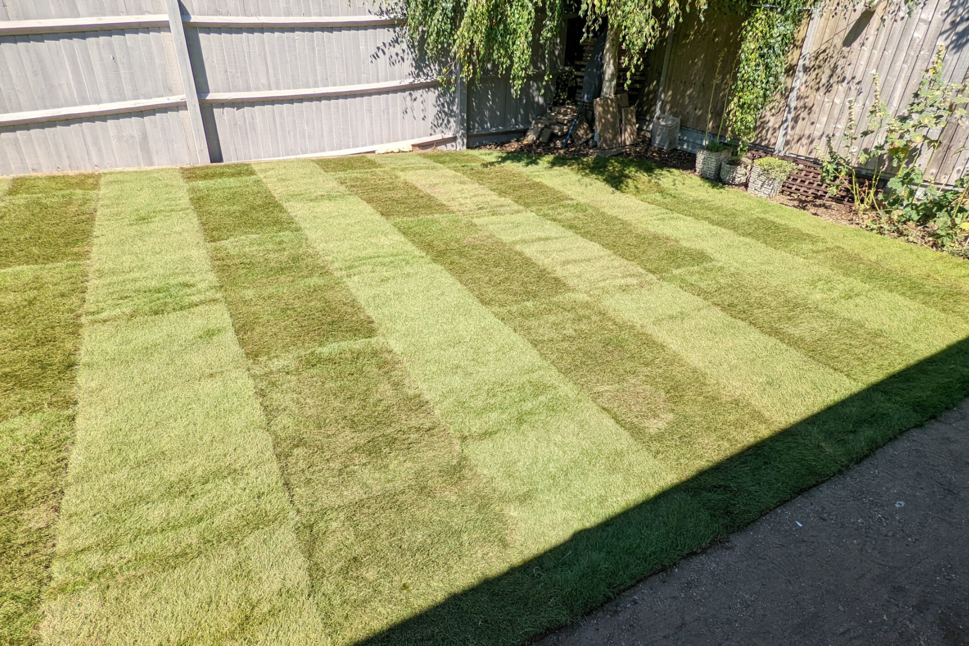 Landscaping 