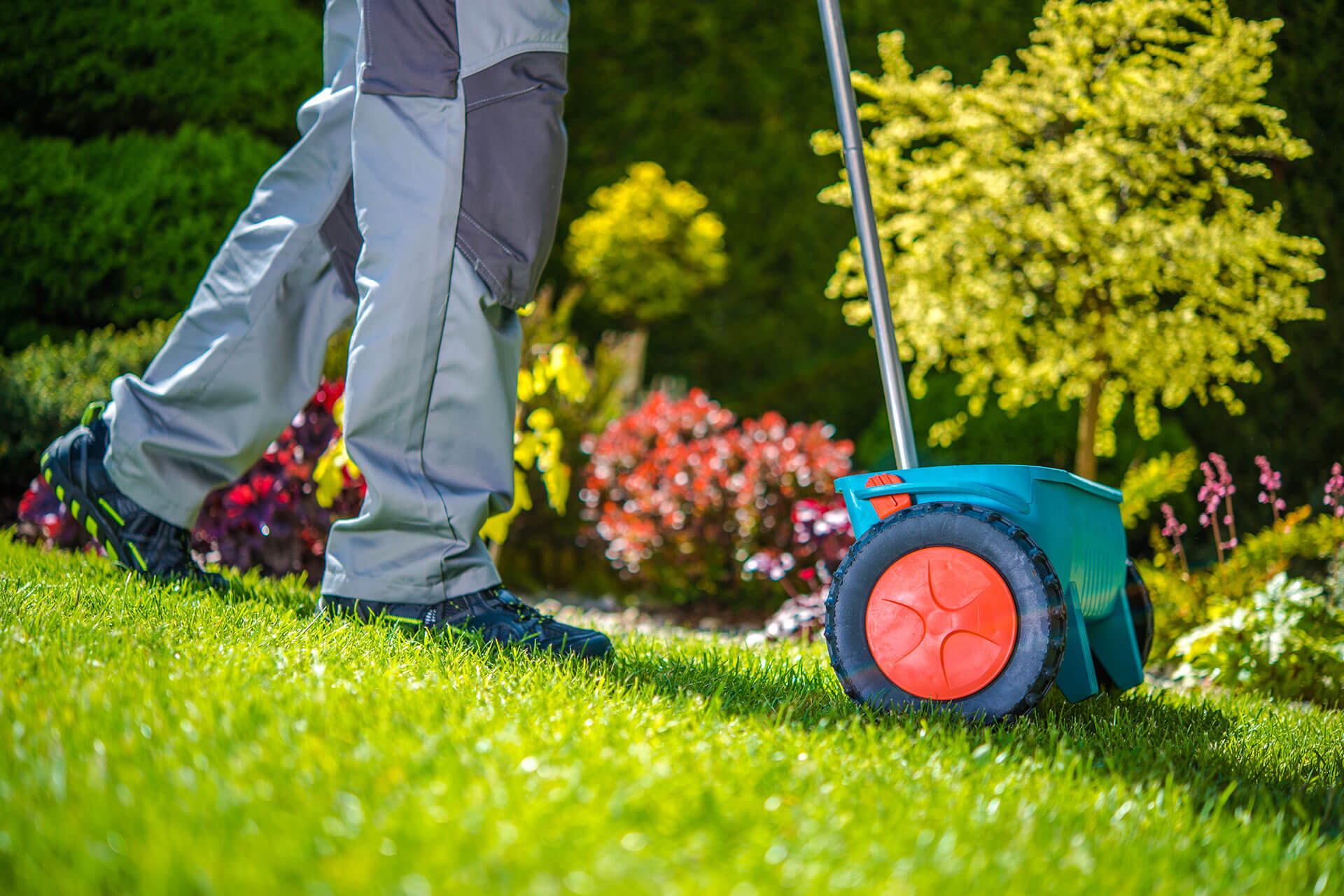 Garden Maintenance